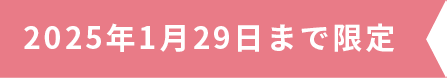 2025年1月29日まで限定